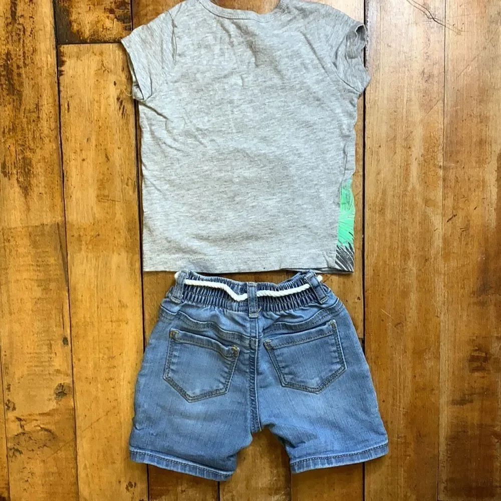Oshkosh outfit size 9 months shirt Carters shorts summer outfit dinosaur pink